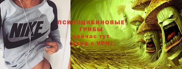 героин Алексин
